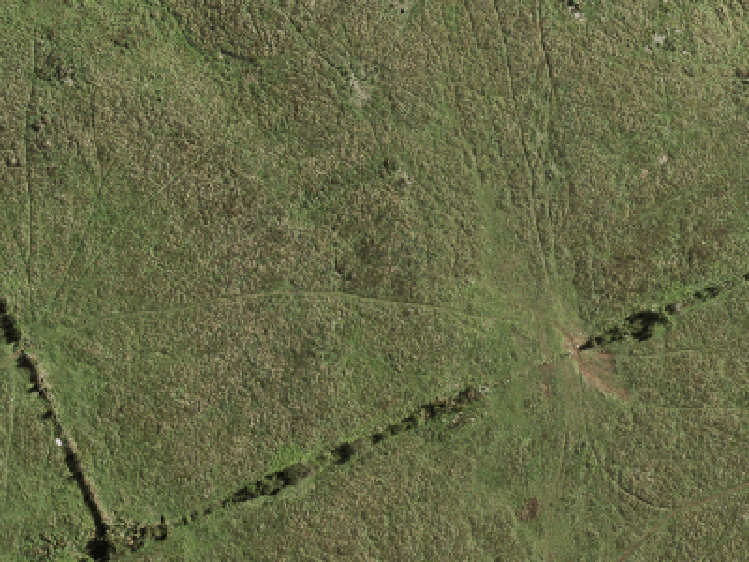 66 Katikati Drive_0