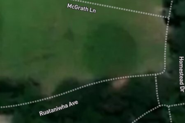 8 Ruataniwha Avenue_0