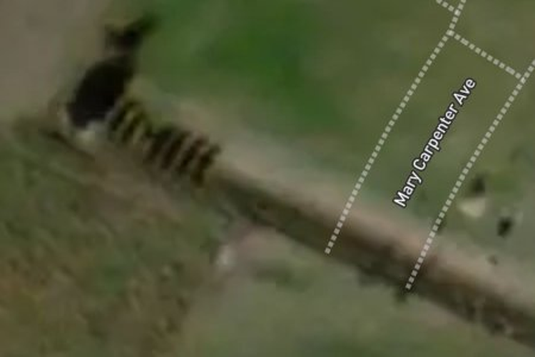 44 Mary Carpenter Avenue_0