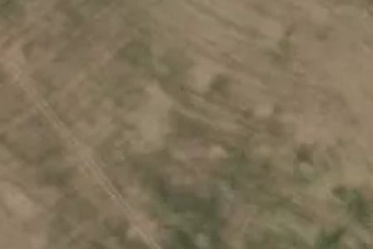 6 Georgina Beyer Way_0