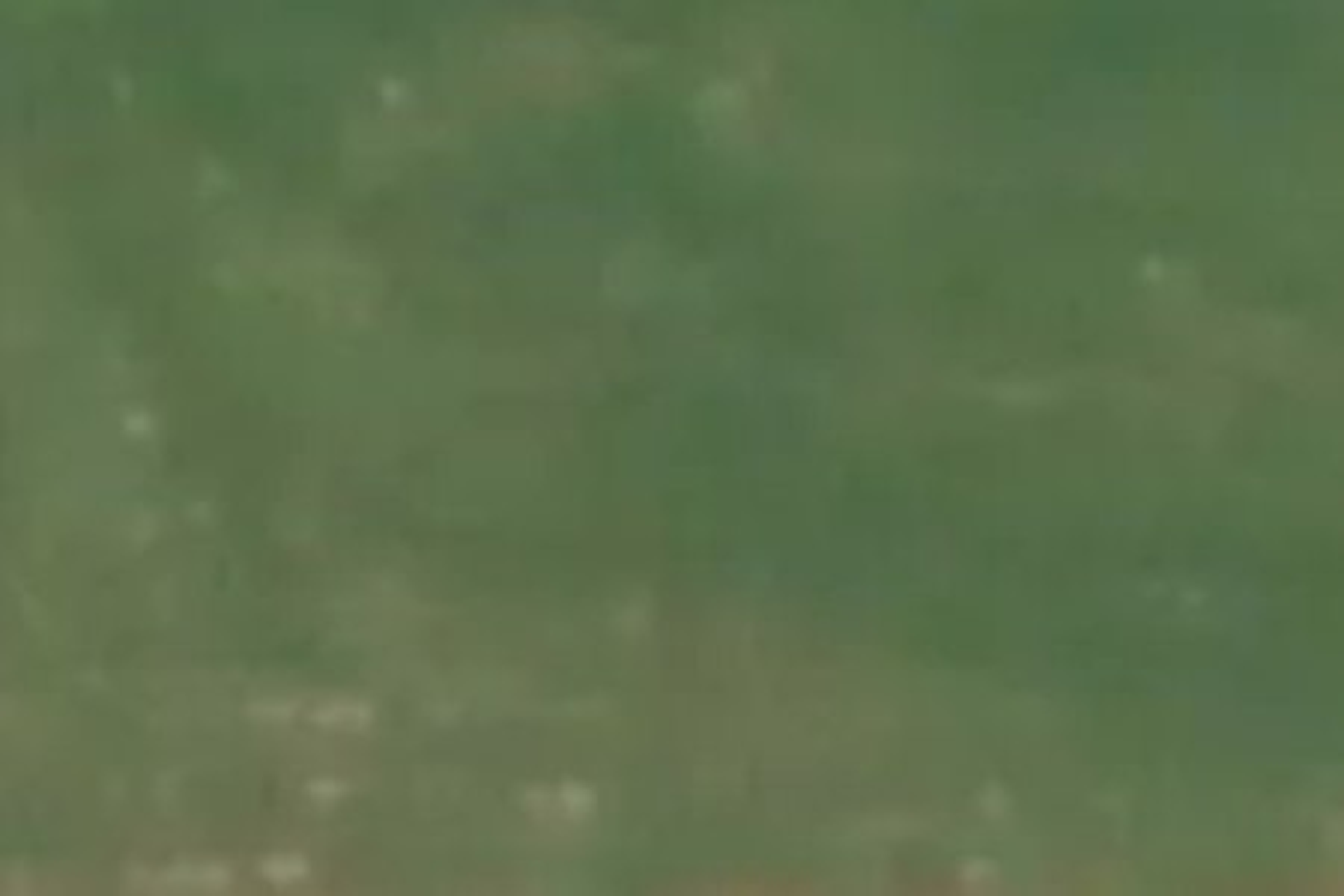 1058 Lake HaweaAlbert Town Road Albert Town Wanaka Houses for