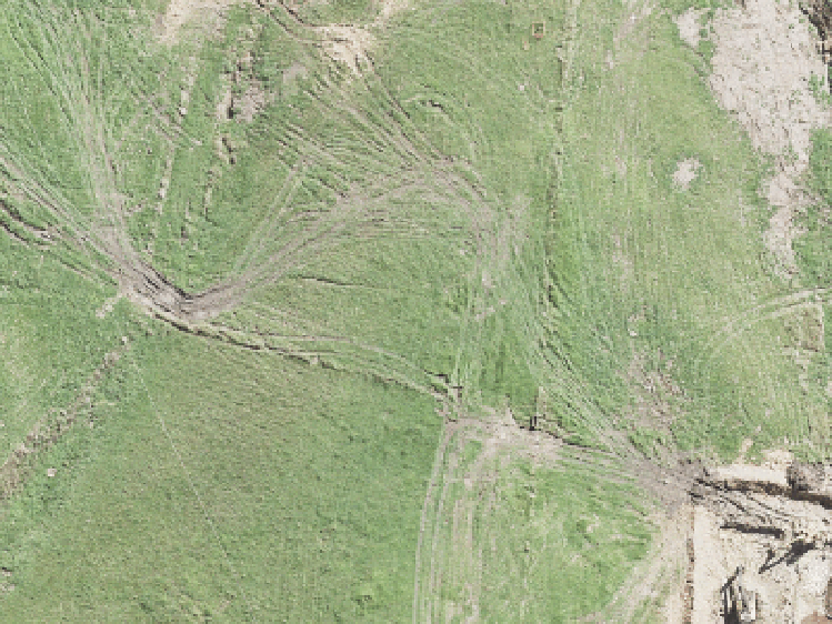 22 Kaupeka Road_0