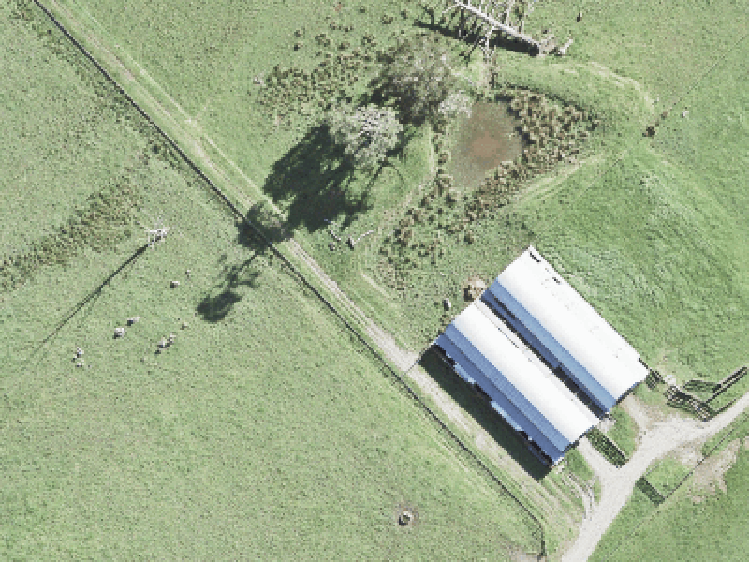 Wainui_0