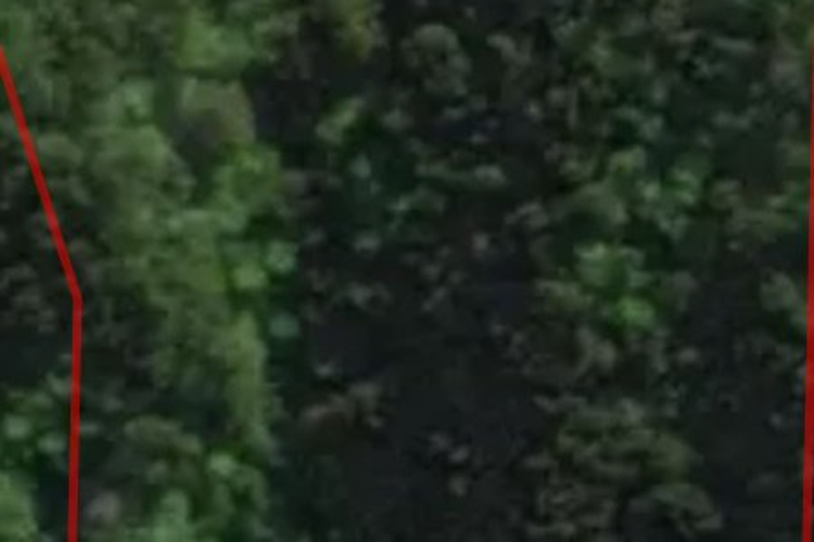 Tahuahua Bay_0
