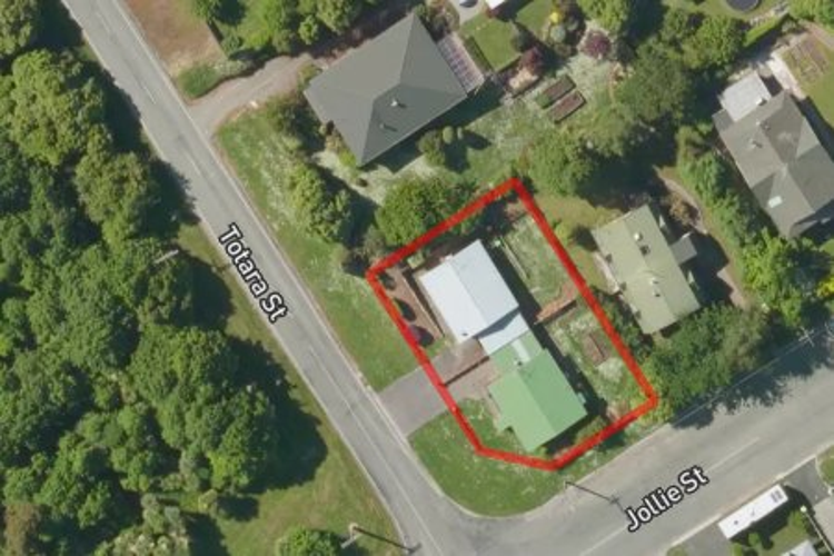 2/4 Totara Street_0