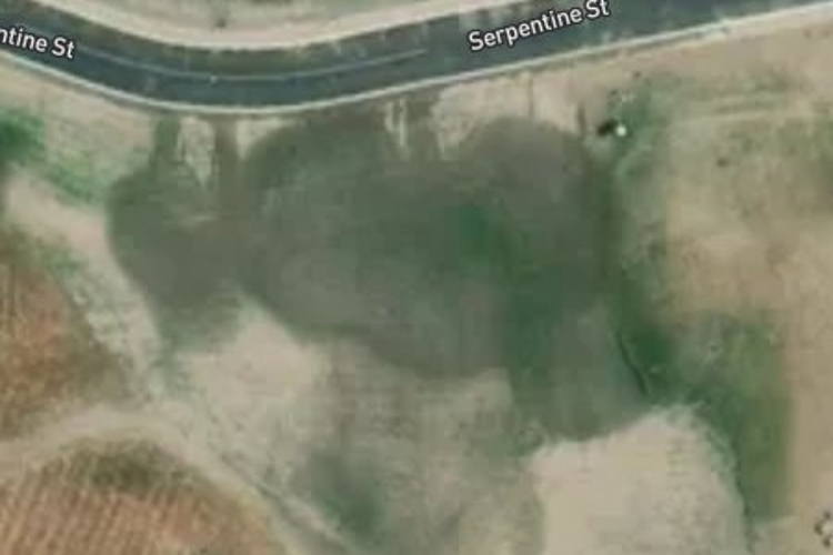 West Meadows Drive_0