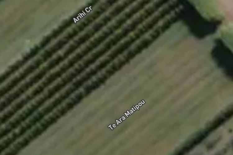 4 Te Ara Matipou_0