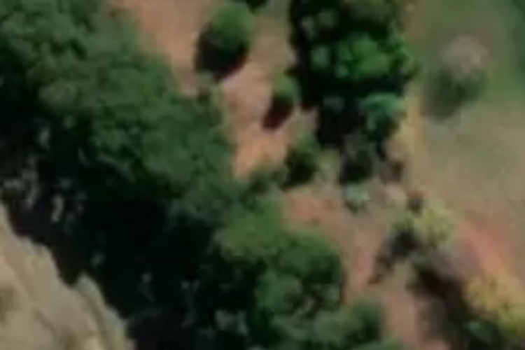 750a Puketitiri Road_0