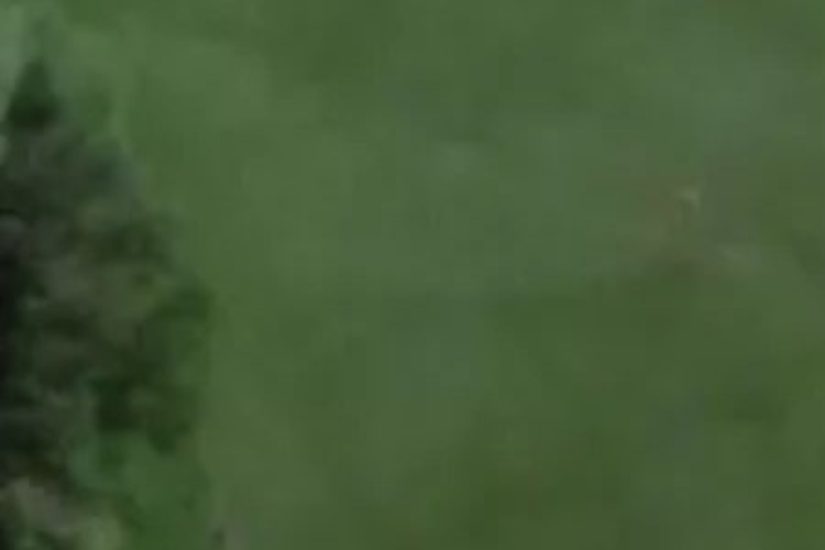 2230 Tapanui Raes Junction Highway_0