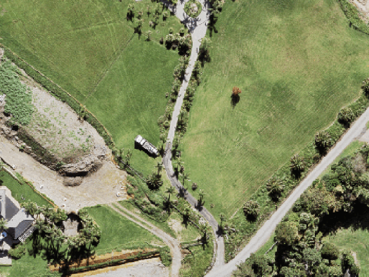 47 Observation Green_0