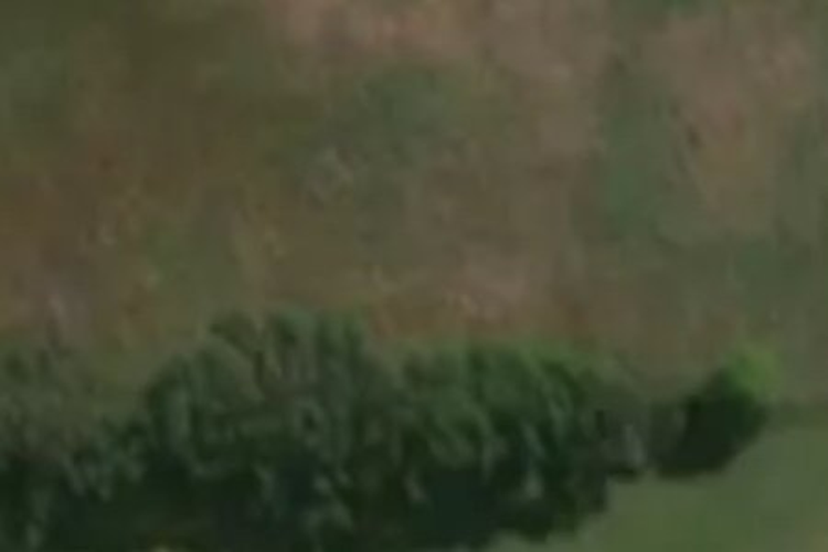 29 Morningside Lane_0