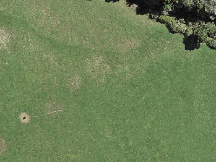 83 Shepherds Bush Road_0