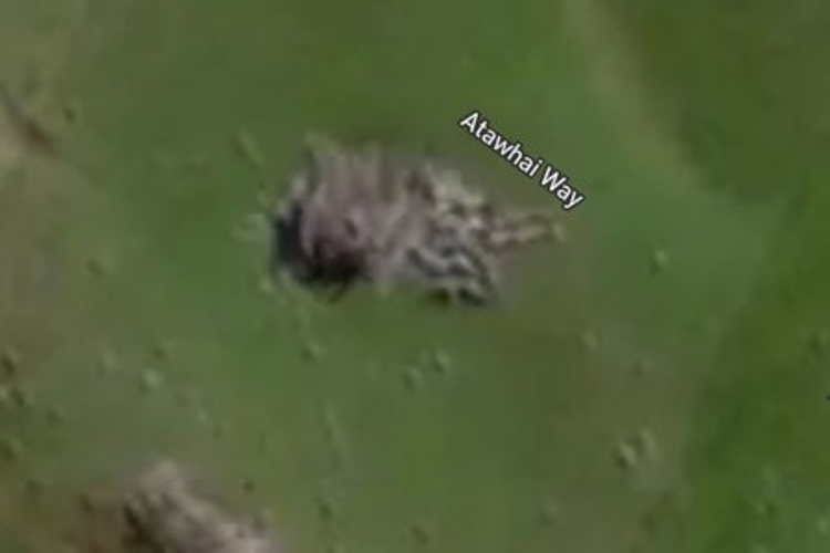 101 Atawhai Lane_0