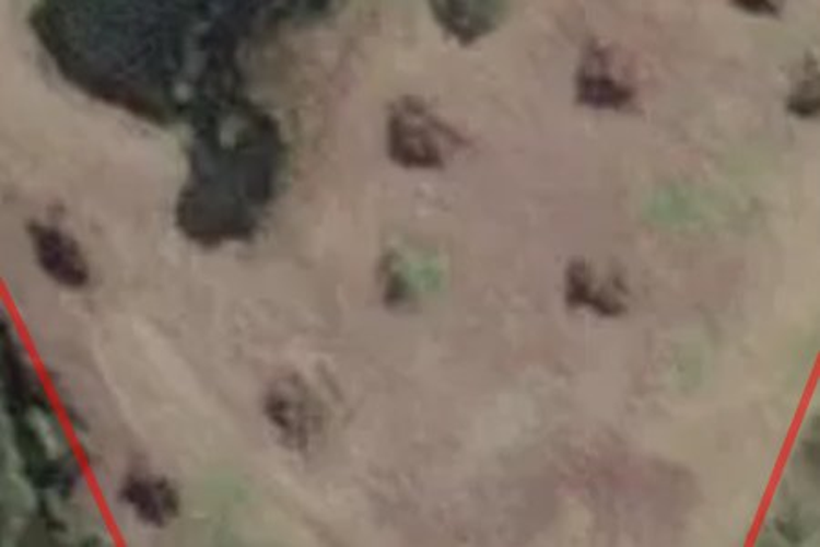 8/247 Blue Spur Road_0