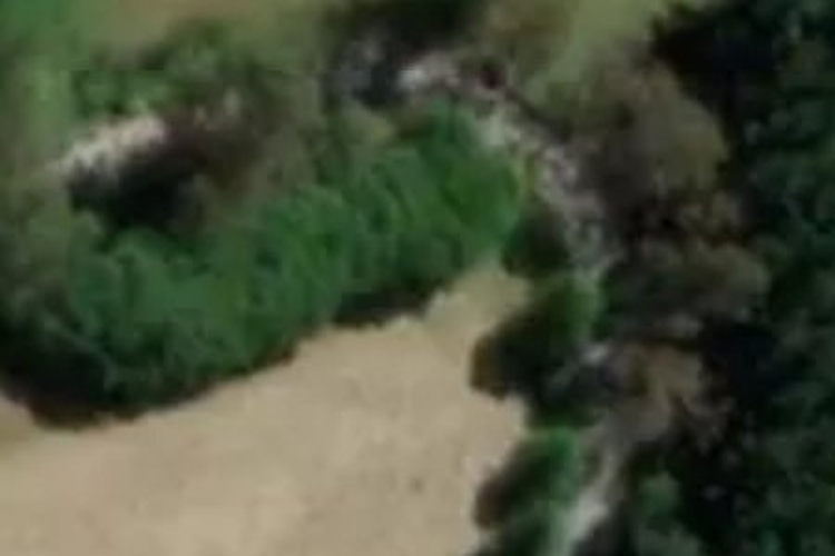 276 Brooklyn Valley Road_0