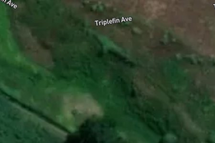 24 Triplefin Avenue_0