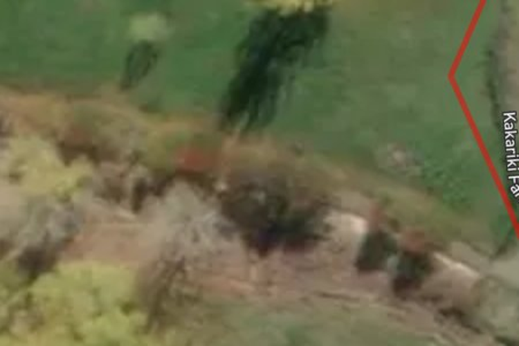 459 Kakariki Farm Road_0