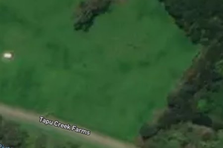 6b Tapu Creek Frms_0