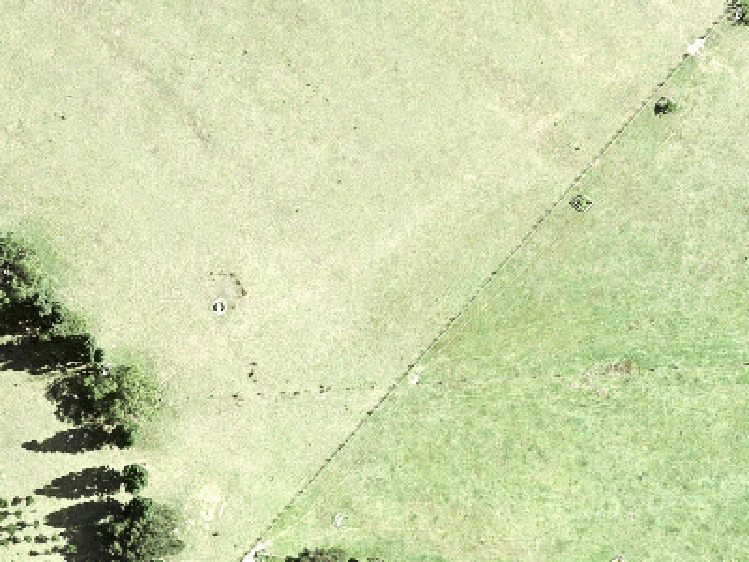 62 Mataikokako Loop_0