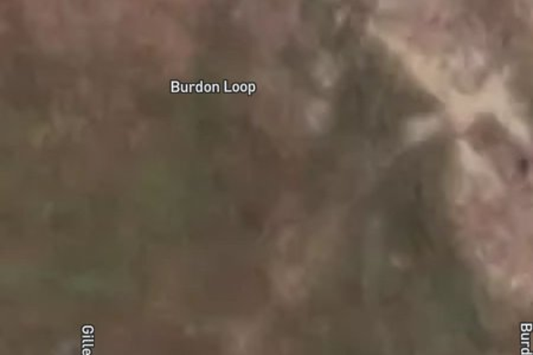 Burden Loop_0