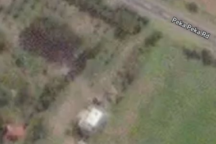 235 Peka Peka Road_0