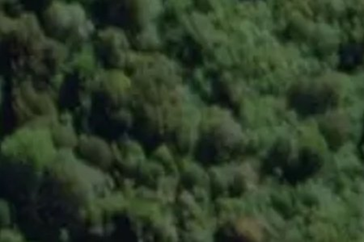 - Sec 1 SO12440 Park Street_0