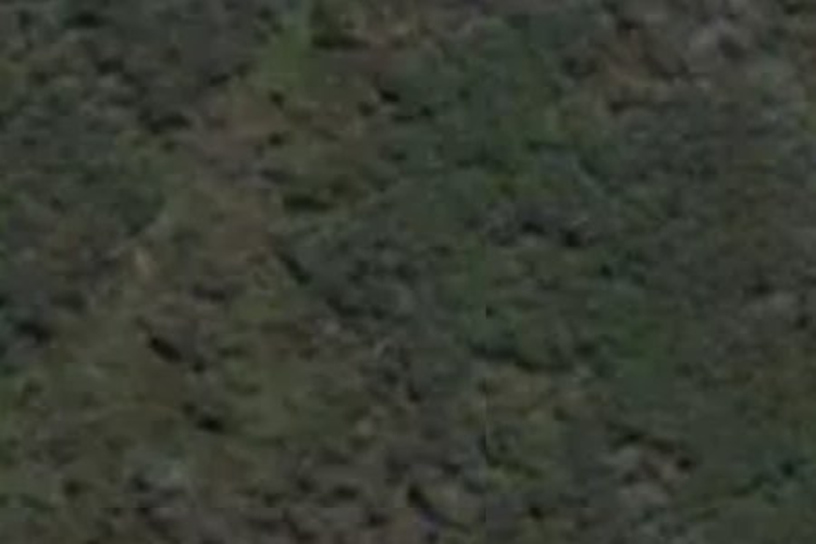 274 Gillams Gully Road_0