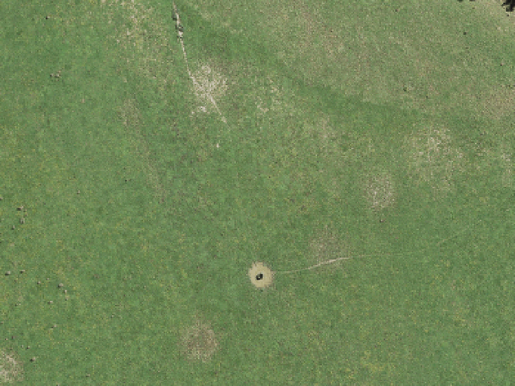 53 Shepherds Bush Road_0