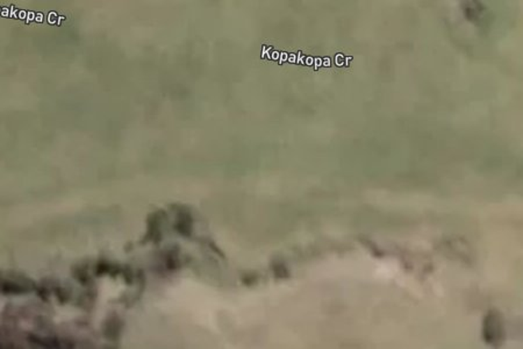 85 Kopakopa Crescent_0