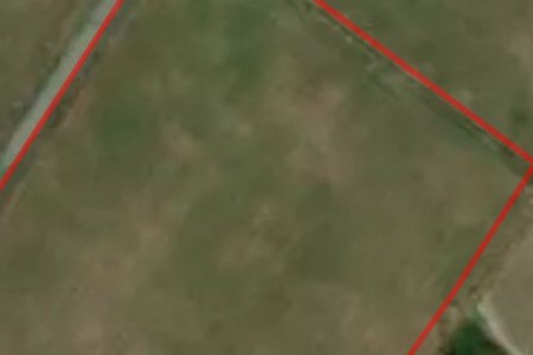 Camerons Line_0