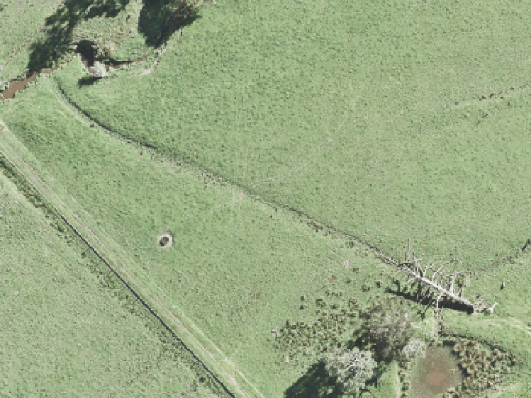 321 Te Taruna Drive_0