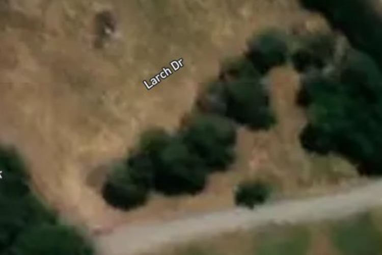 5 Larch Drive_0