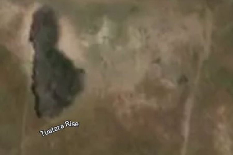 7 Tuatara Rise_0