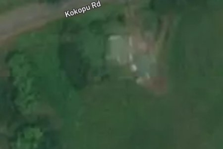 671 Kokopu Road_0