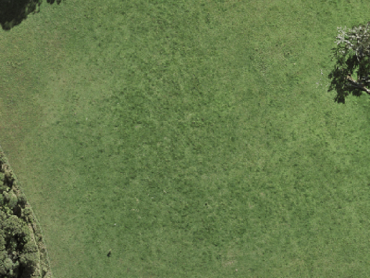 17 Te Aniwaniwa Terrace_0