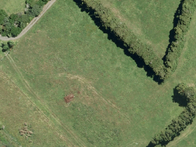 286a Runciman Road_0