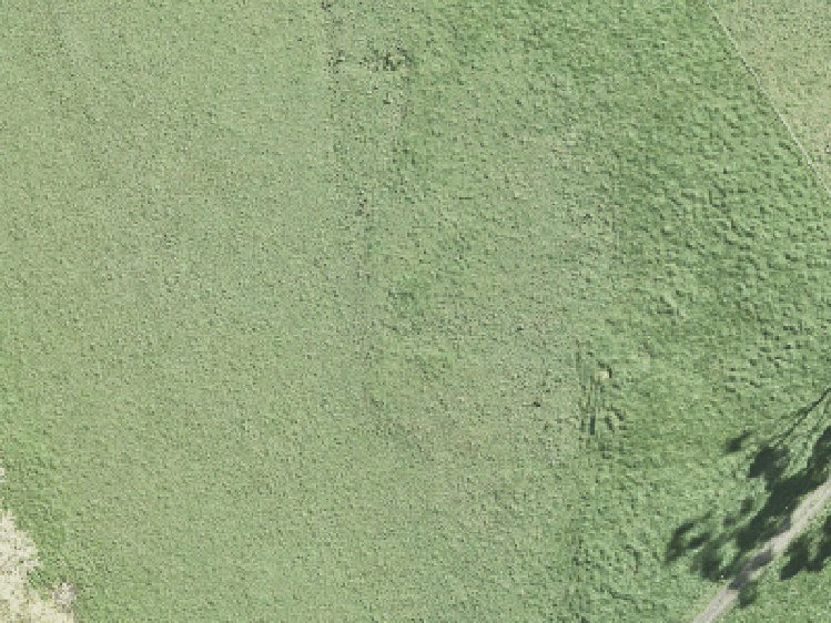 21 Parkland Loop_0