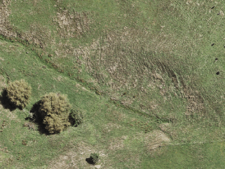 4 Hautoa Lane_0