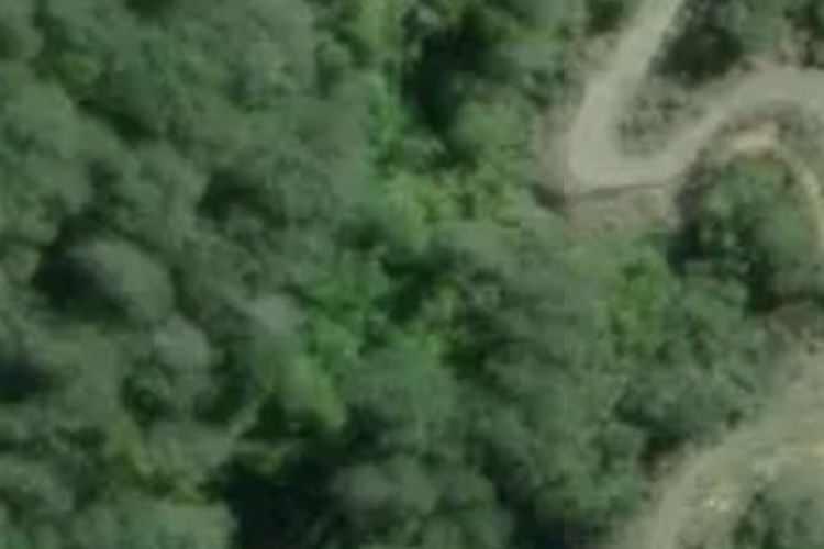 425 Pakawau-Bush Road_0