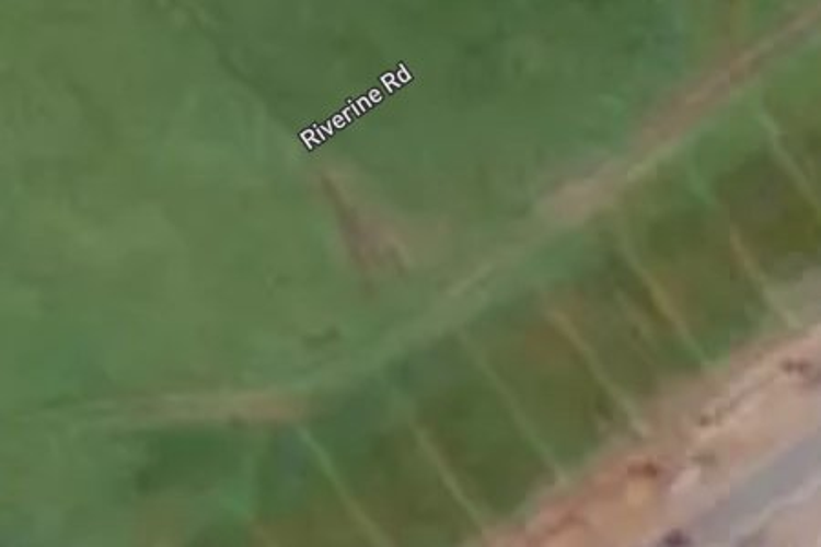 37 Riverine Road_0