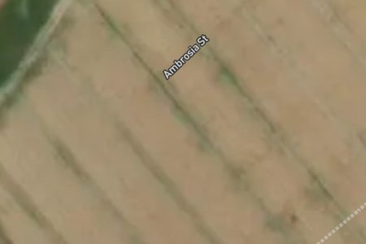 29 Ambrosia Street_0