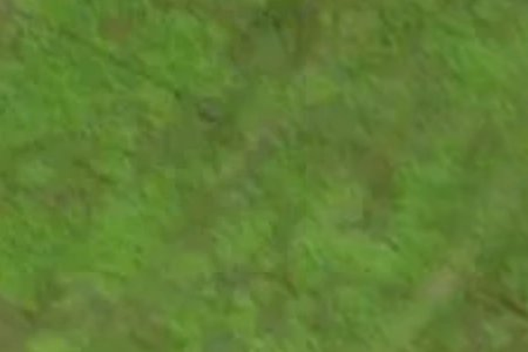 Anderson Park Drive_0