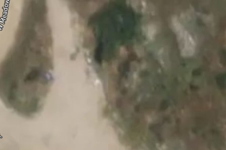 West Meadows Drive_0