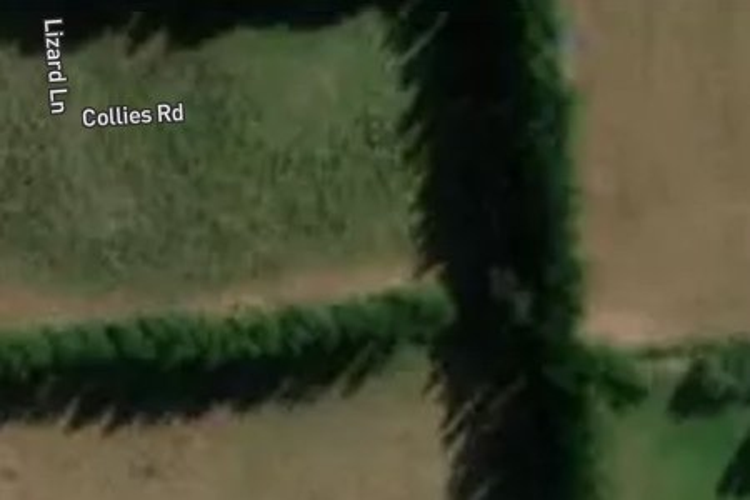 31 Collies Road_0