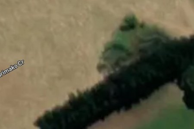 19 Korimako Crescent_0