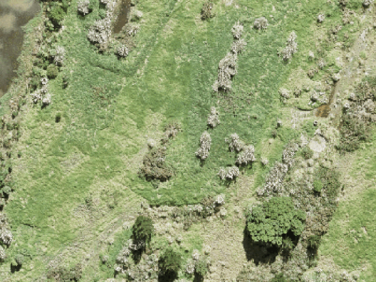 15 Whakairo Crescent_0