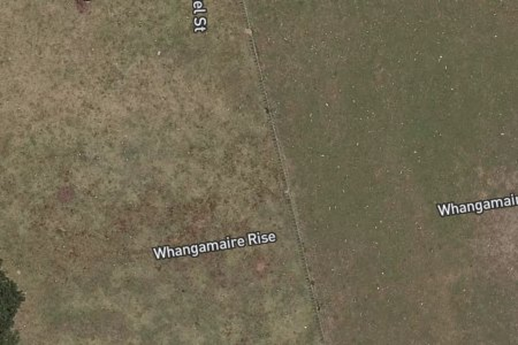 354 Linwood Road_0