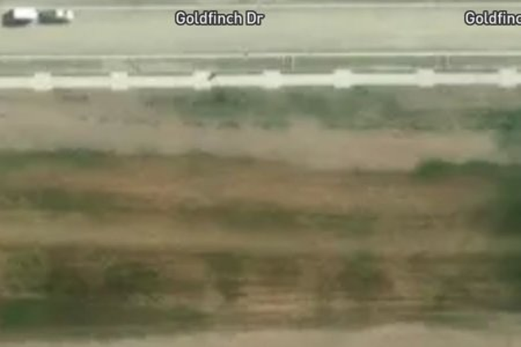 21 Goldfinch Drive_0