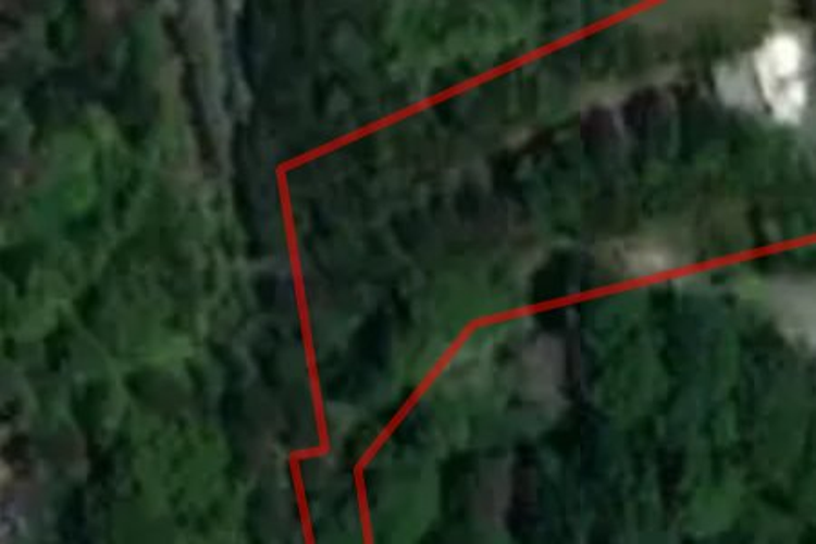 1813 Ngunguru Road_0