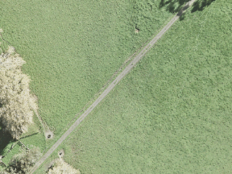 11 Parkland Loop_0